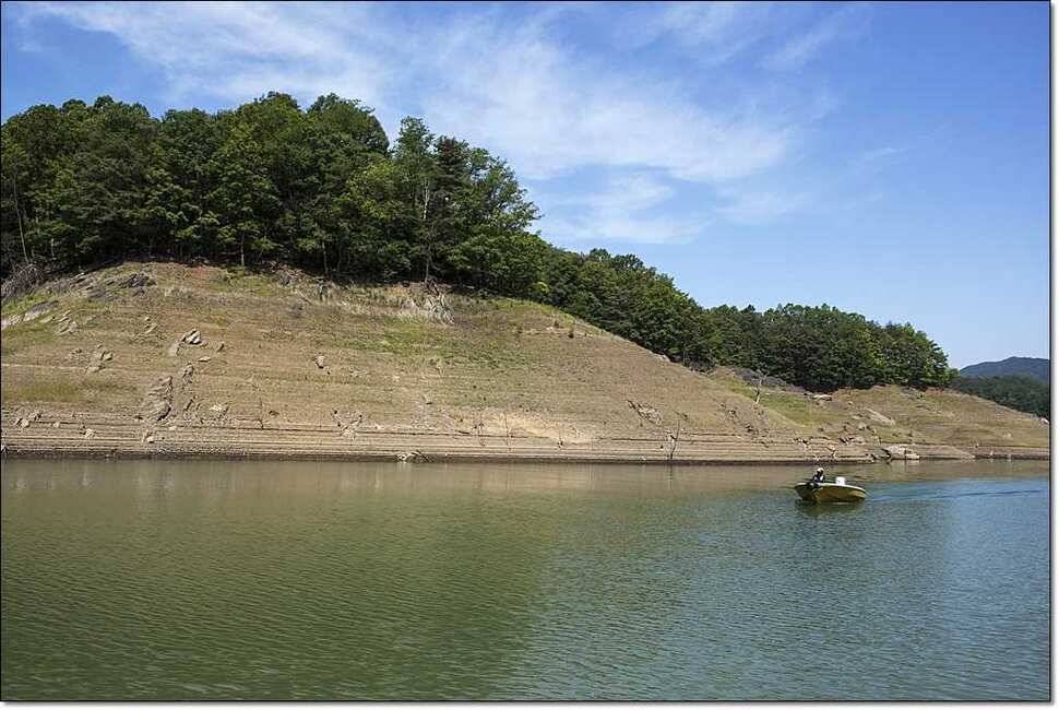 충주호 월척붕어장어메기 (조황조행기 - 특파원조황)