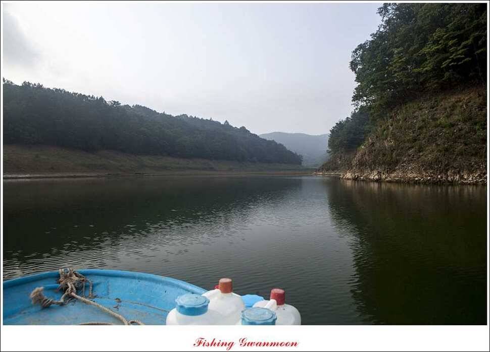늘푸른 장어실리곡 마릿수 및 추평지 현황 (조황조행기 - 특파원조황)