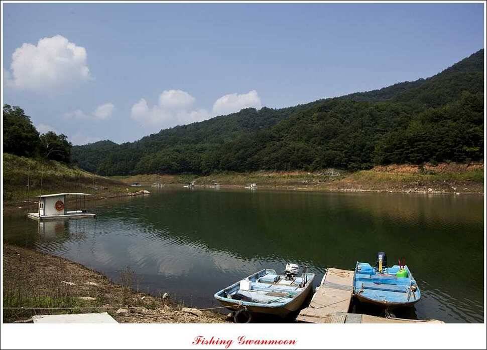 한버들실리곡 월척노지 마릿수 조황 (조황조행기 - 특파원조황)