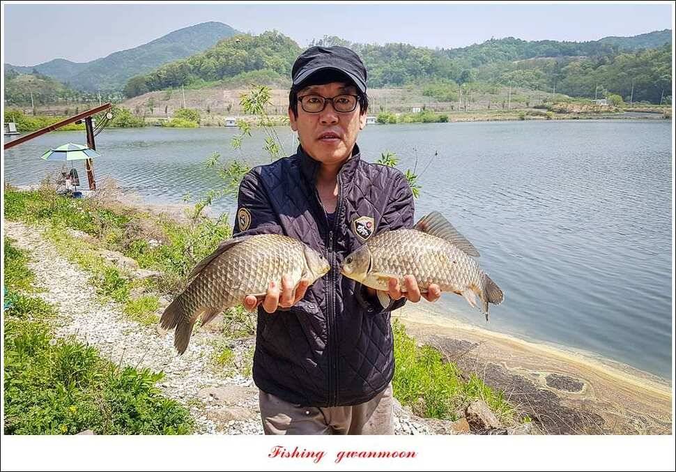 늘푸른돌감화곡지 월척 조황 (조황조행기 - 특파원조황)