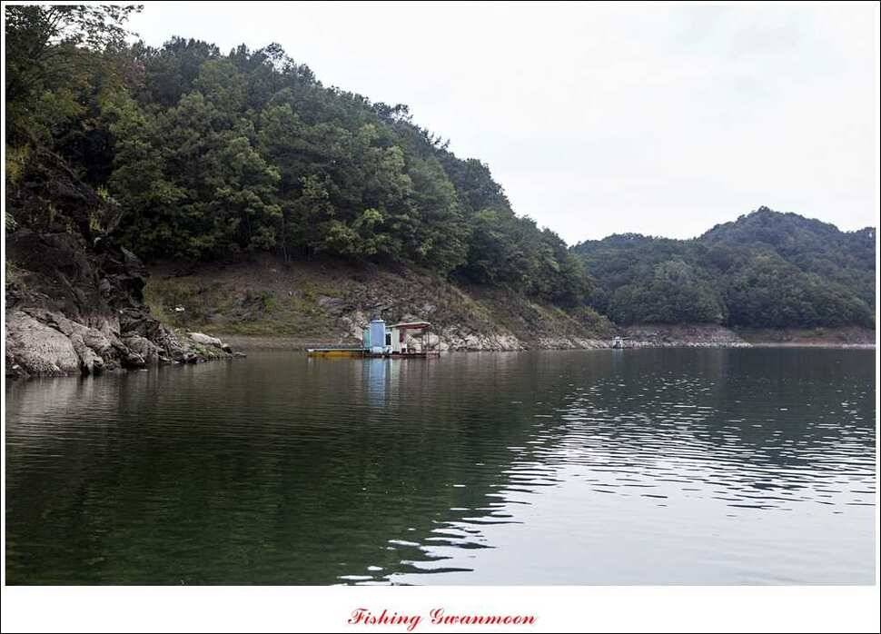문골윤제일 낚시터 조황 소식 (조황조행기 - 특파원조황)