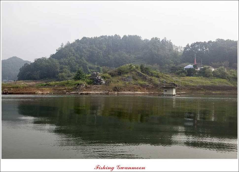 늘푸른 장어실리곡 마릿수 및 추평지 현황 (조황조행기 - 특파원조황)
