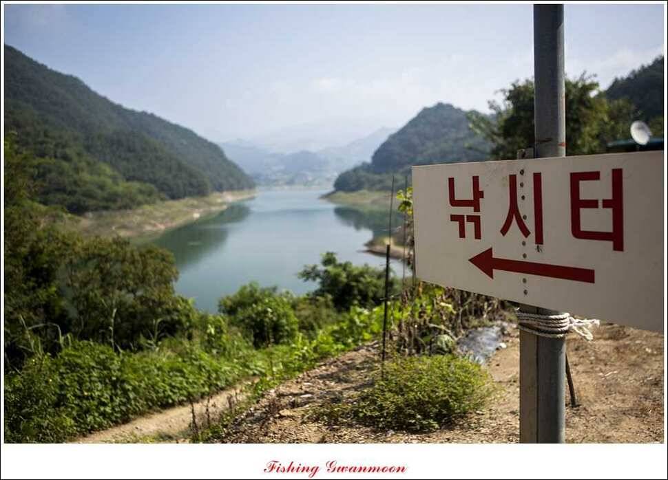 늘푸른 장어실리곡 마릿수 및 추평지 현황 (조황조행기 - 특파원조황)