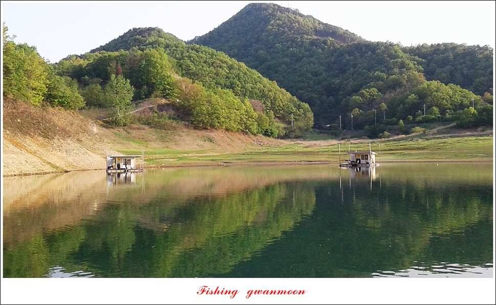 실리곡 마릿수 월척한버들 월척돌감짱가네 조황 (조황조행기 - 특파원조황)