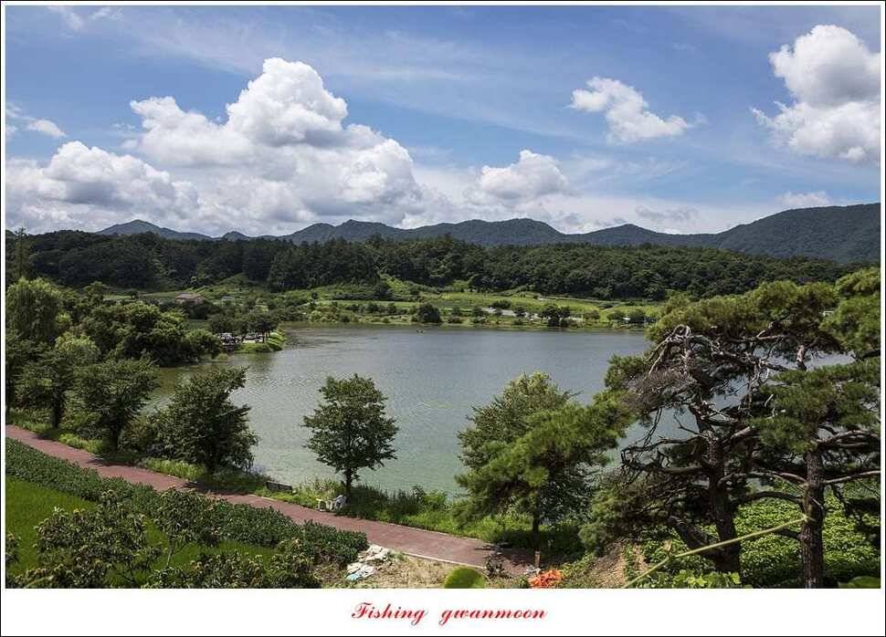 칠성지 사짜한버들실리곡돌감소류지 사짜 조황 (조황조행기 - 특파원조황)