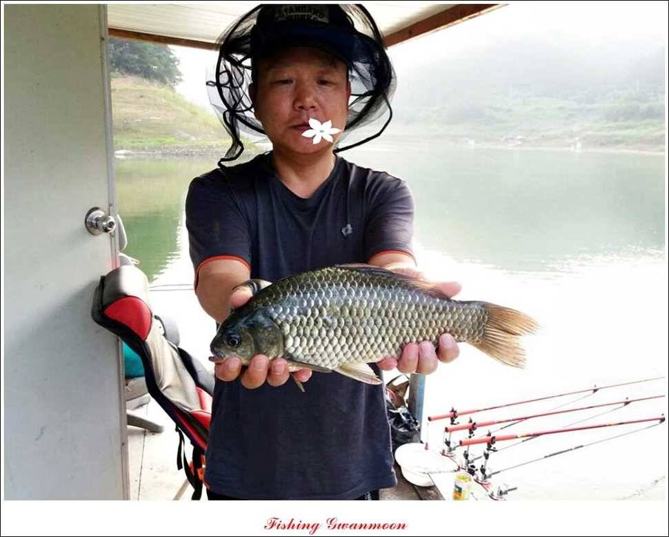 한버들실리곡 월척노지 마릿수 조황 (조황조행기 - 특파원조황)