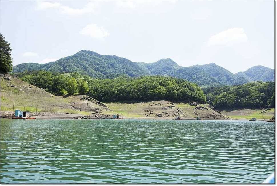 달천강 월척충주호 (조황조행기 - 특파원조황)