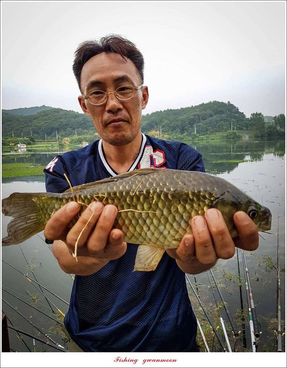 화곡지 월척 마릿수 조황 (조황조행기 - 특파원조황)
