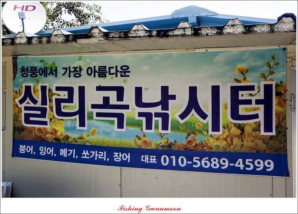 한버들실리곡 월척노지 마릿수 조황 (조황조행기 - 특파원조황)