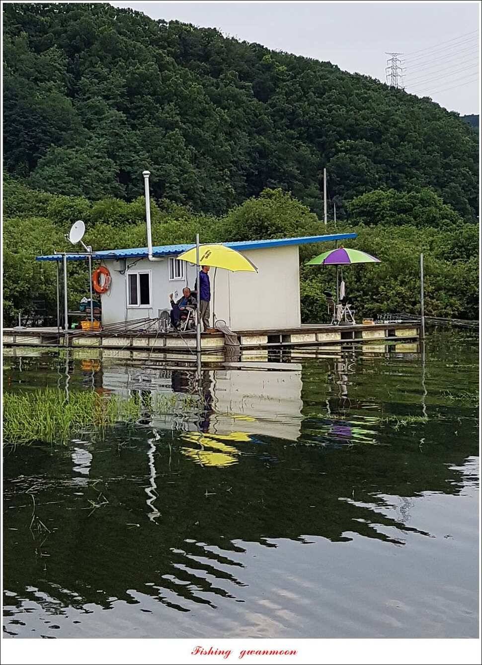 제일 44 cm 대물화곡지실리곡 조황 (조황조행기 - 특파원조황)