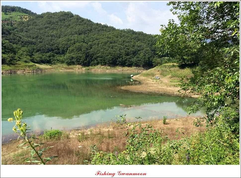 한버들실리곡 월척노지 마릿수 조황 (조황조행기 - 특파원조황)