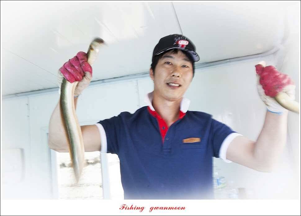 한버들 43 cm43 cm40 cm신매 낚시터 39 cm늘푸른 장어화곡지 조황 (조황조행기 - 특파원조황)