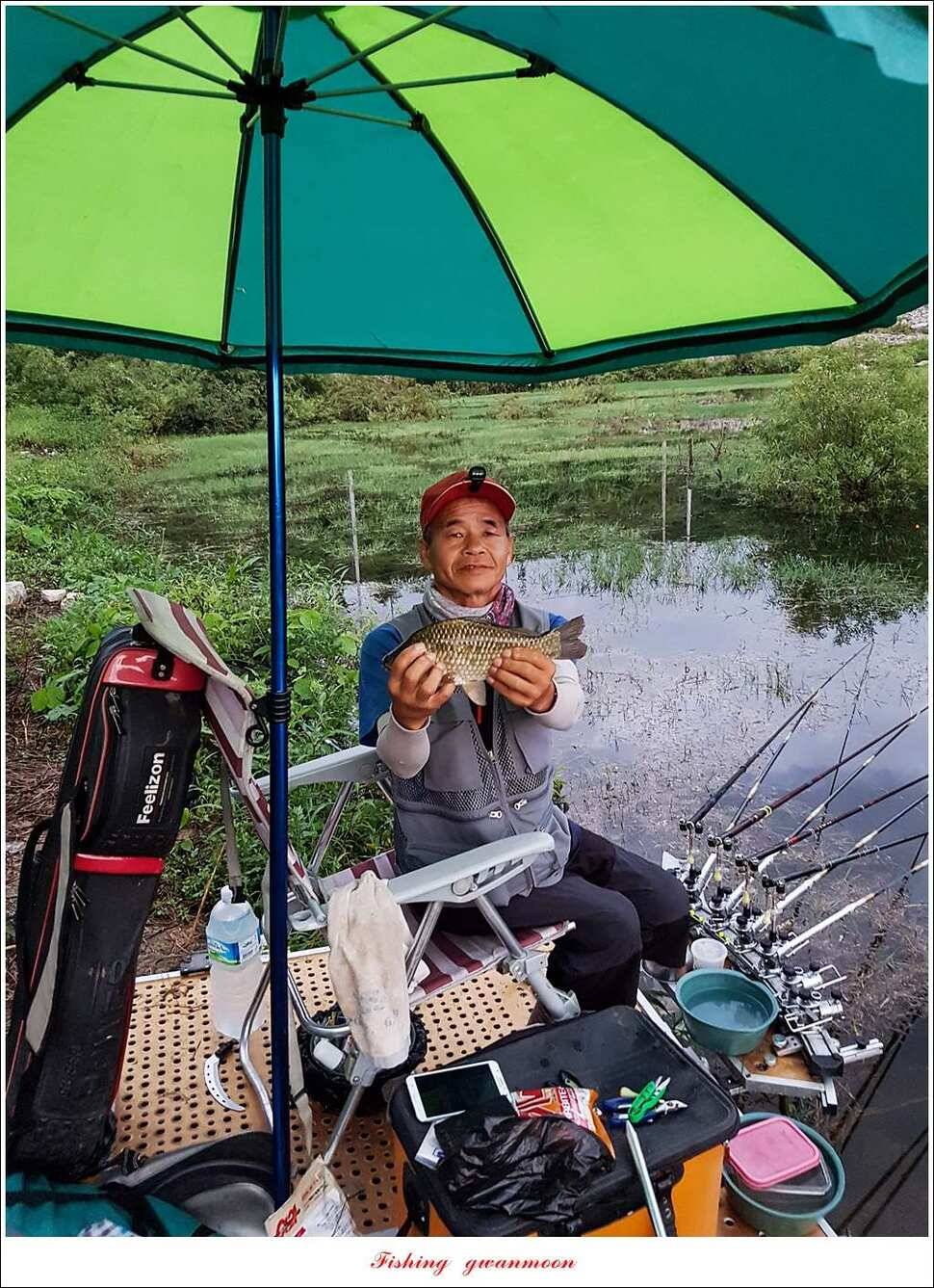화곡지 월척 마릿수 조황 (조황조행기 - 특파원조황)