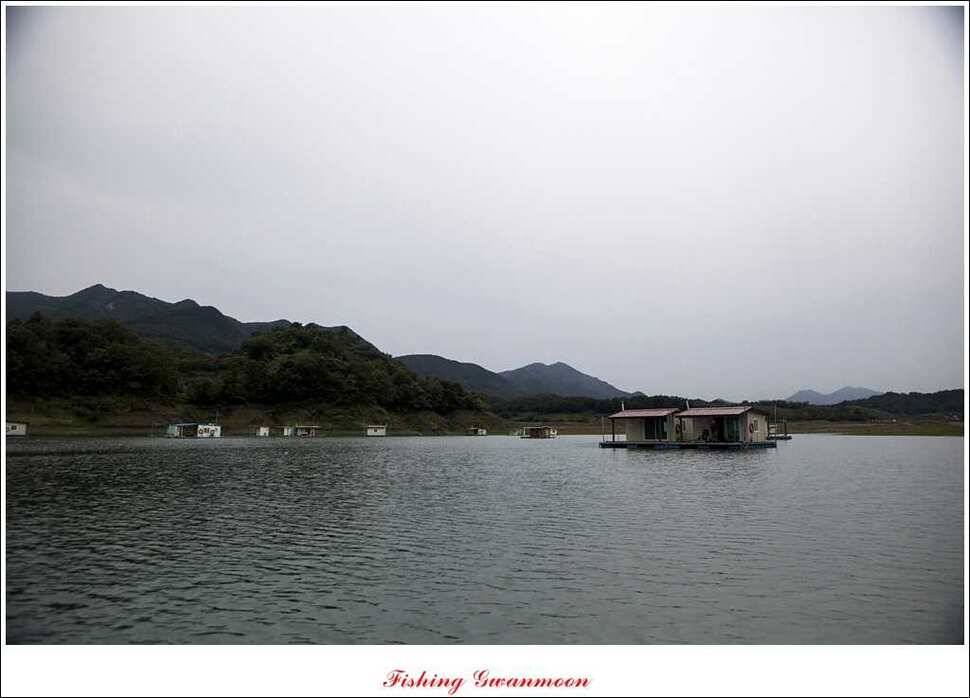 문골윤제일 낚시터 조황 소식 (조황조행기 - 특파원조황)
