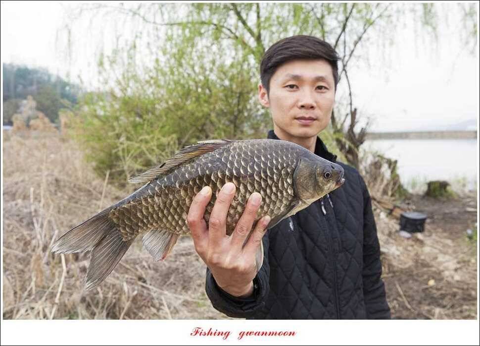 매전지 사짜 화곡지 월척달천강 대박 조황 (조황조행기 - 특파원조황)