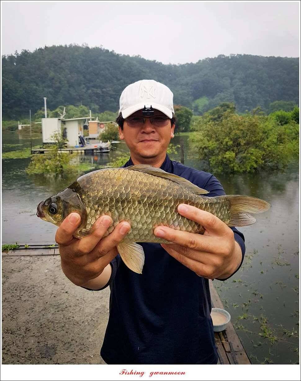 제일 44 cm 대물화곡지실리곡 조황 (조황조행기 - 특파원조황)