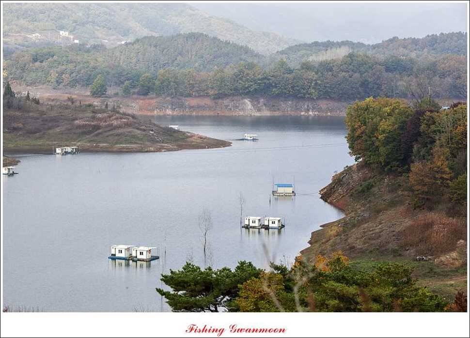 한버들돌감짱가네 조황 (조황조행기 - 특파원조황)