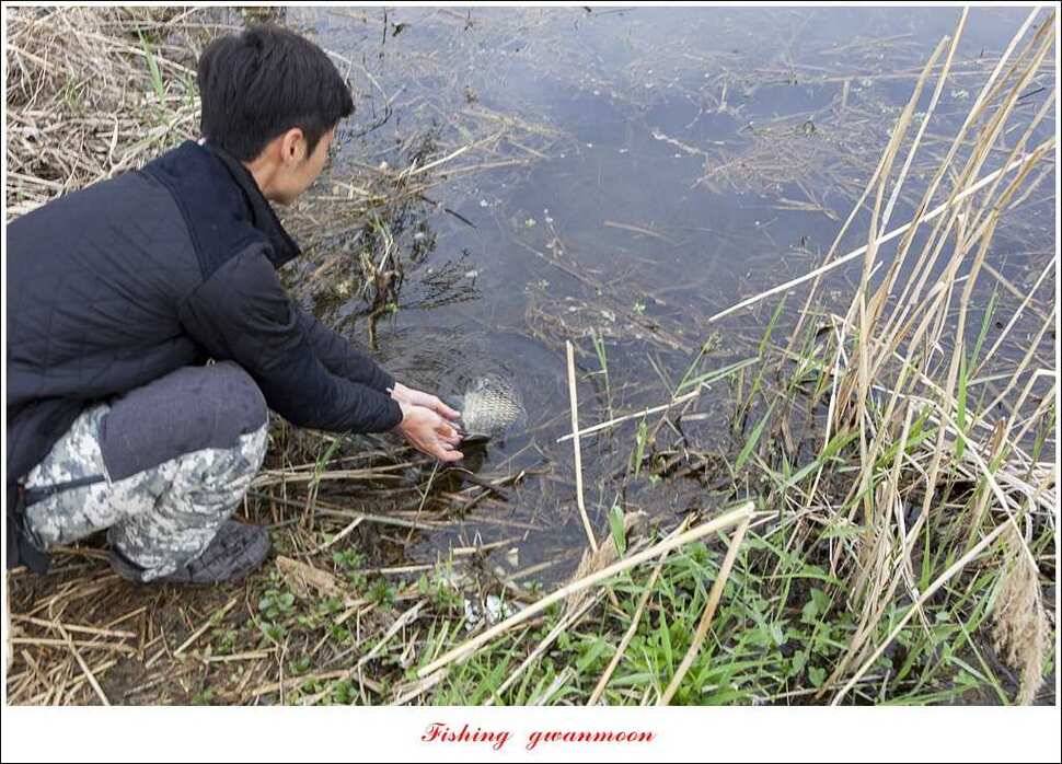 매전지 사짜 화곡지 월척달천강 대박 조황 (조황조행기 - 특파원조황)