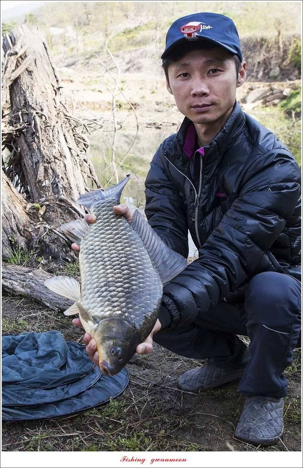 대물 475 cm외 4 짜 대물매전지 조황 (조황조행기 - 특파원조황)