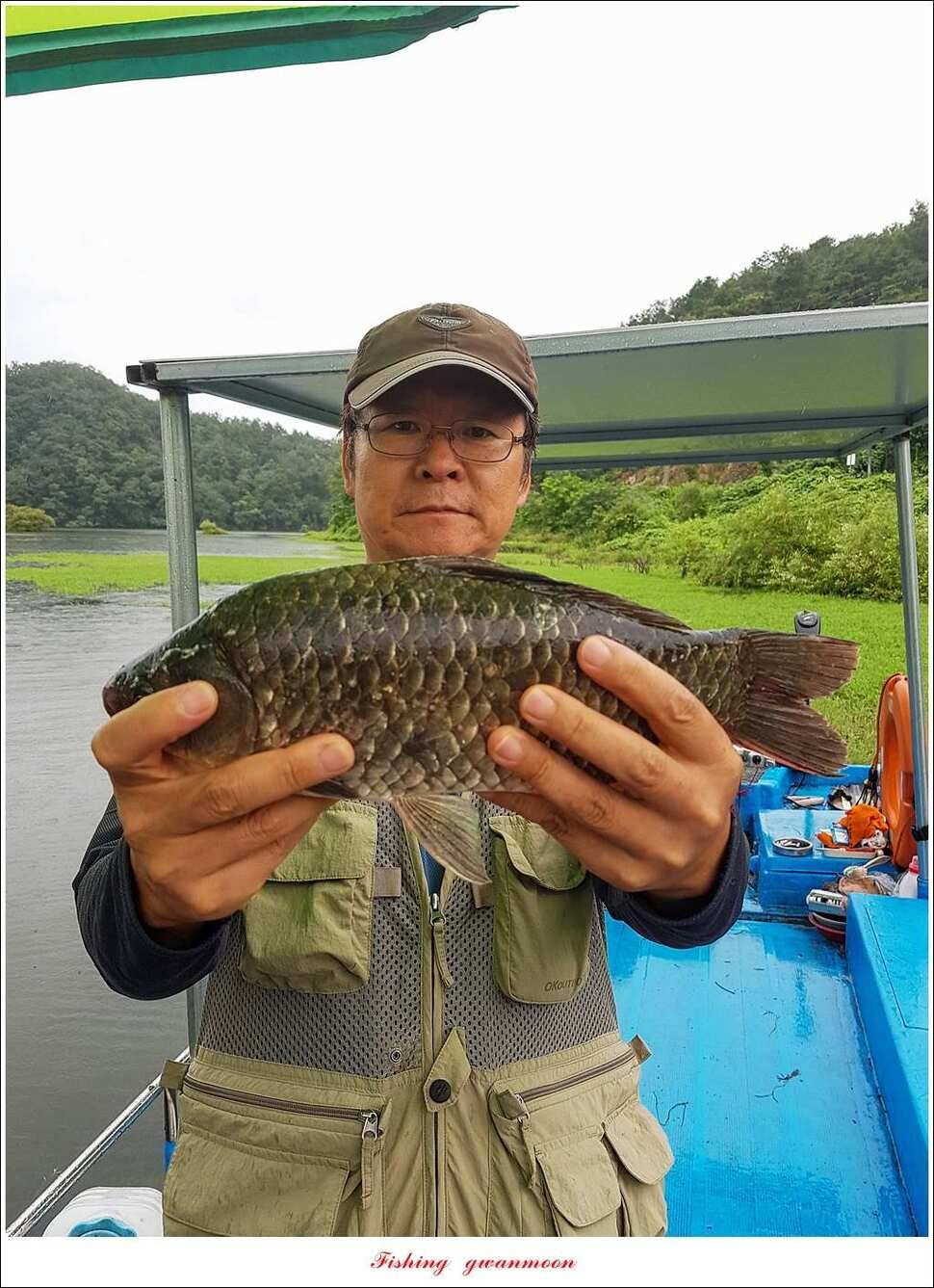 화곡지 월척 마릿수 조황 (조황조행기 - 특파원조황)
