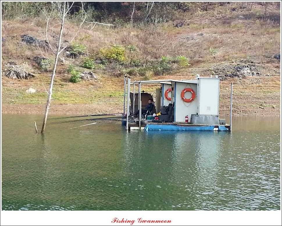 한버들돌감짱가네 조황 (조황조행기 - 특파원조황)
