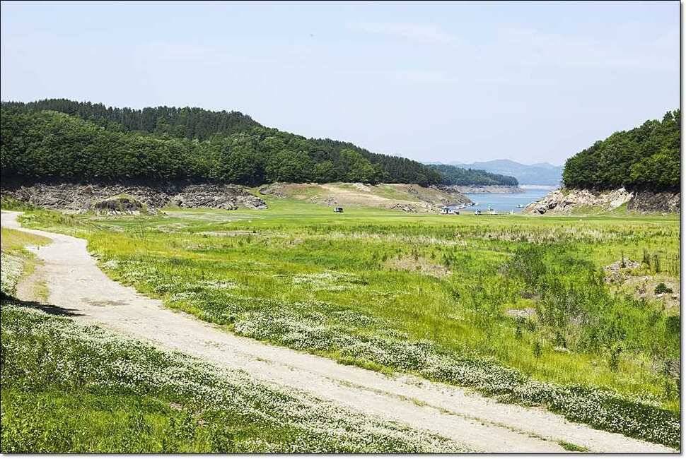 달천강 월척충주호 (조황조행기 - 특파원조황)