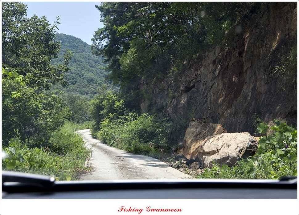한버들실리곡 월척노지 마릿수 조황 (조황조행기 - 특파원조황)