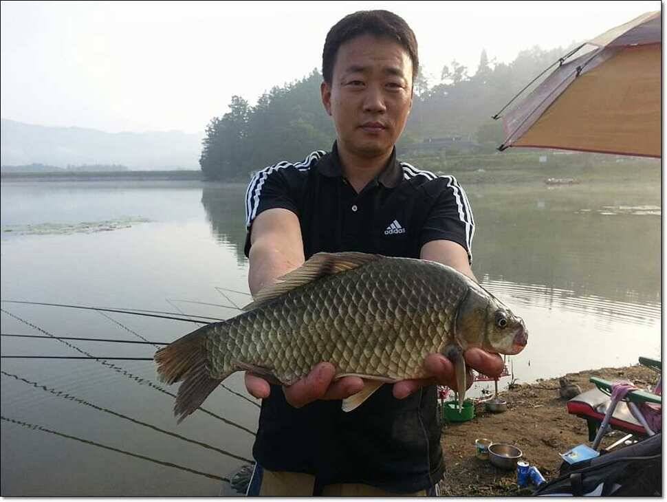 늘푸른 대물장어한버들 사짜칠성지 사짜소류지 사짜 (조황조행기 - 특파원조황)