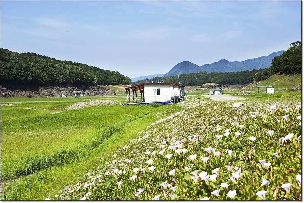 달천강 월척충주호 (조황조행기 - 특파원조황)