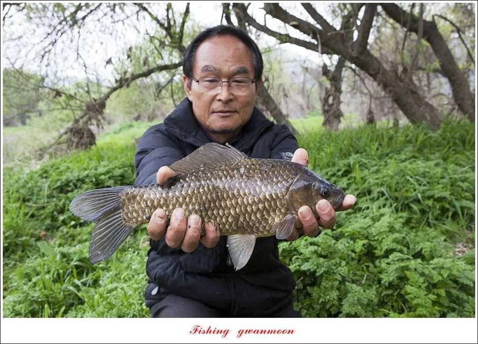 매전지 사짜 화곡지 월척달천강 대박 조황 (조황조행기 - 특파원조황)