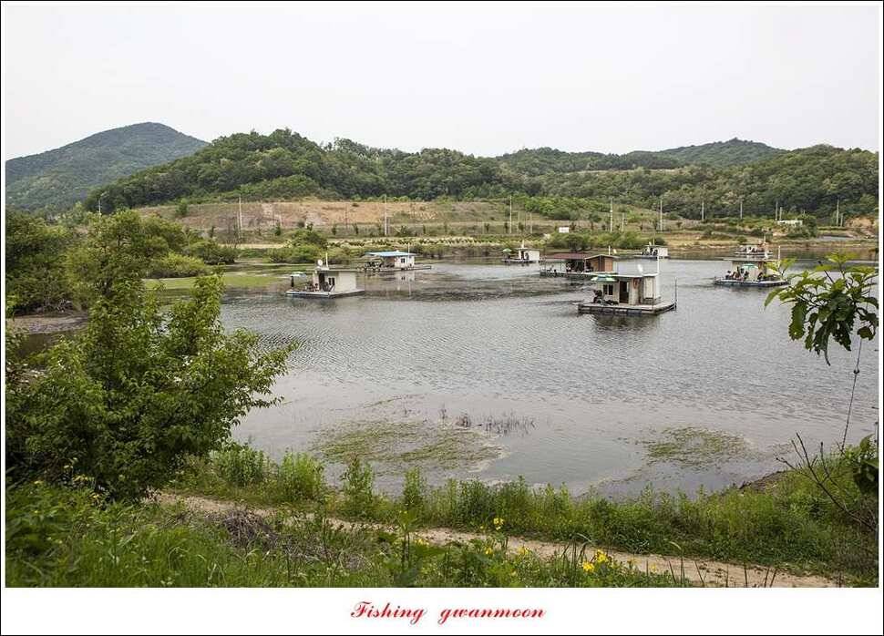 한버들 43 cm43 cm40 cm신매 낚시터 39 cm늘푸른 장어화곡지 조황 (조황조행기 - 특파원조황)