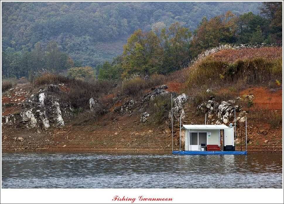 한버들돌감짱가네 조황 (조황조행기 - 특파원조황)
