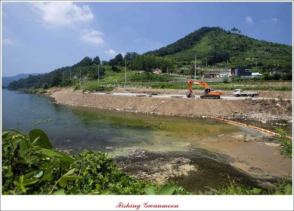 늘푸른 장어실리곡 마릿수 및 추평지 현황 (조황조행기 - 특파원조황)