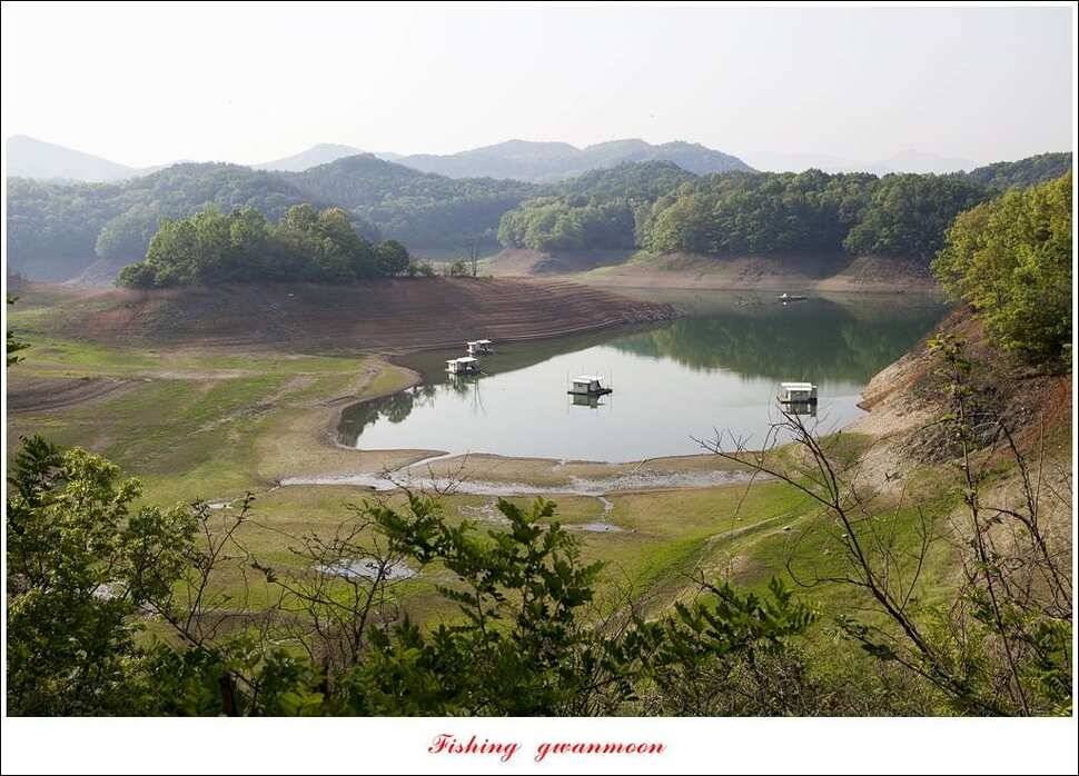 한버들실리곡 월척 행진 (조황조행기 - 특파원조황)