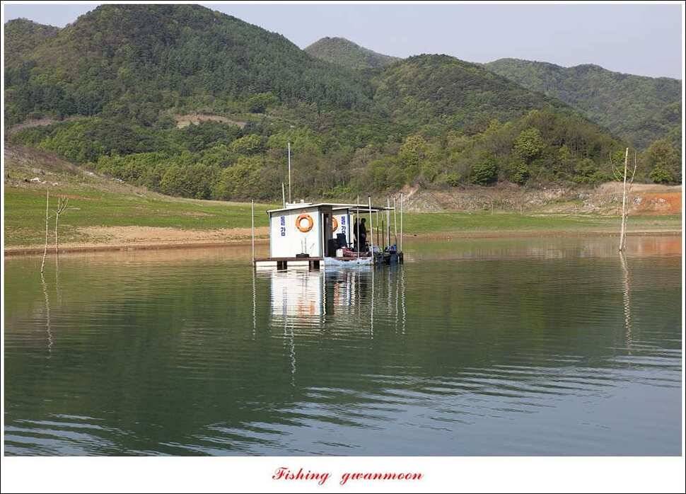 실리곡 마릿수 월척한버들 월척돌감짱가네 조황 (조황조행기 - 특파원조황)