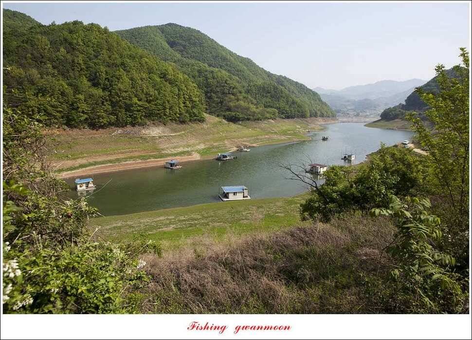 한버들실리곡 월척 행진 (조황조행기 - 특파원조황)