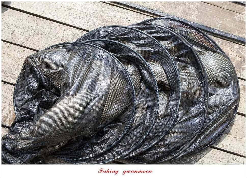 한버들실리곡 월척 행진 (조황조행기 - 특파원조황)