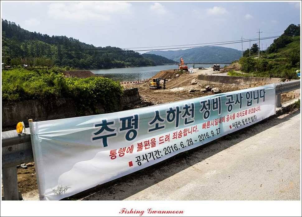 늘푸른 장어실리곡 마릿수 및 추평지 현황 (조황조행기 - 특파원조황)