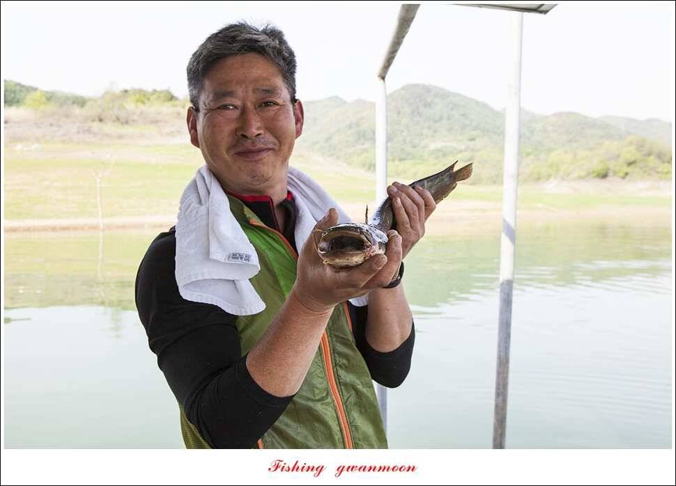실리곡 마릿수 월척한버들 월척돌감짱가네 조황 (조황조행기 - 특파원조황)