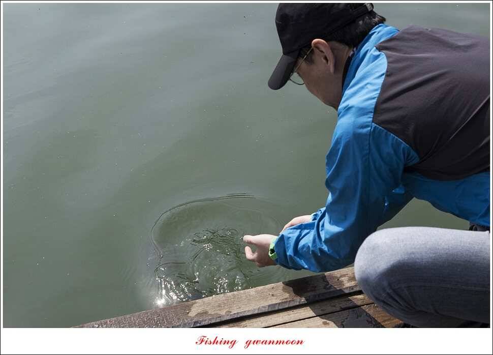 한버들실리곡 월척 행진 (조황조행기 - 특파원조황)