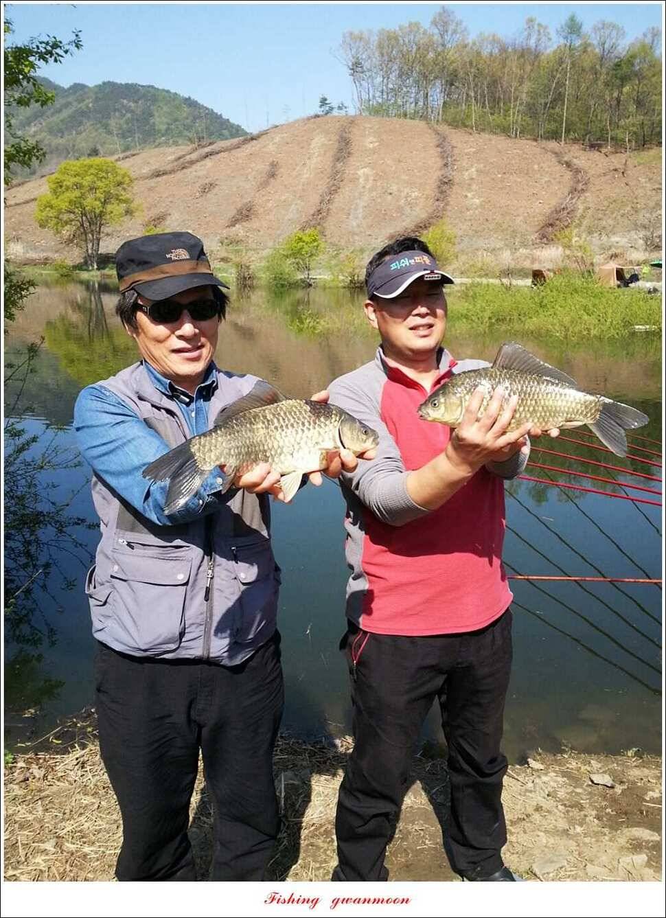 대물 475 cm외 4 짜 대물매전지 조황 (조황조행기 - 특파원조황)
