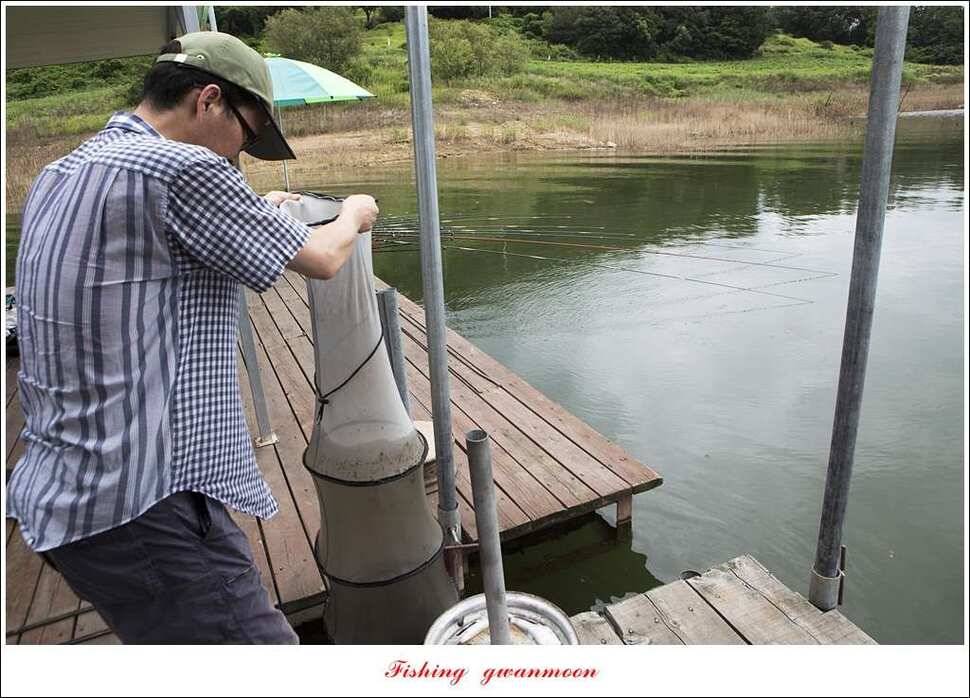 칠성지 사짜한버들실리곡돌감소류지 사짜 조황 (조황조행기 - 특파원조황)