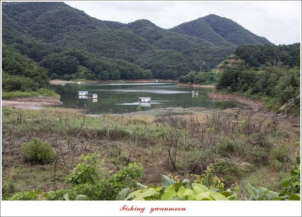 칠성지 사짜한버들실리곡돌감소류지 사짜 조황 (조황조행기 - 특파원조황)