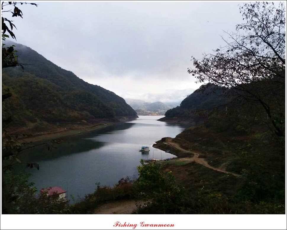 실리곡화곡지제일 조황 (조황조행기 - 특파원조황)
