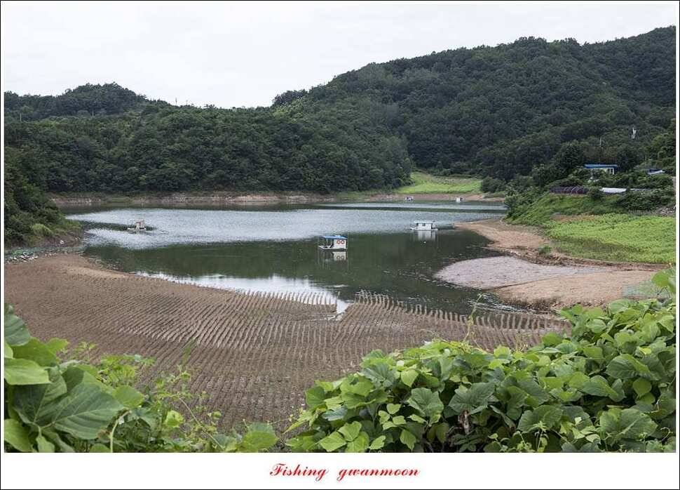 칠성지 사짜한버들실리곡돌감소류지 사짜 조황 (조황조행기 - 특파원조황)