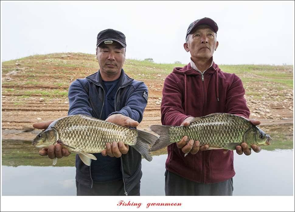 한버들 사짜 및 월척 대박화곡지 사짜신매 월척실리곡 월척 (조황조행기 - 특파원조황)