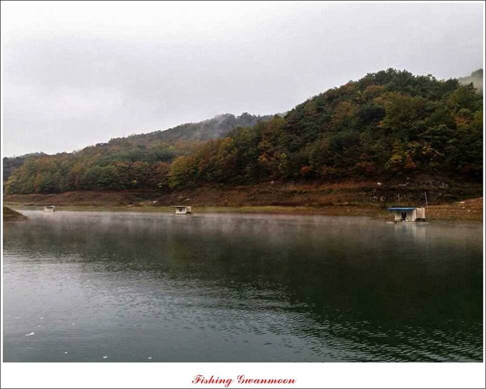 실리곡화곡지제일 조황 (조황조행기 - 특파원조황)