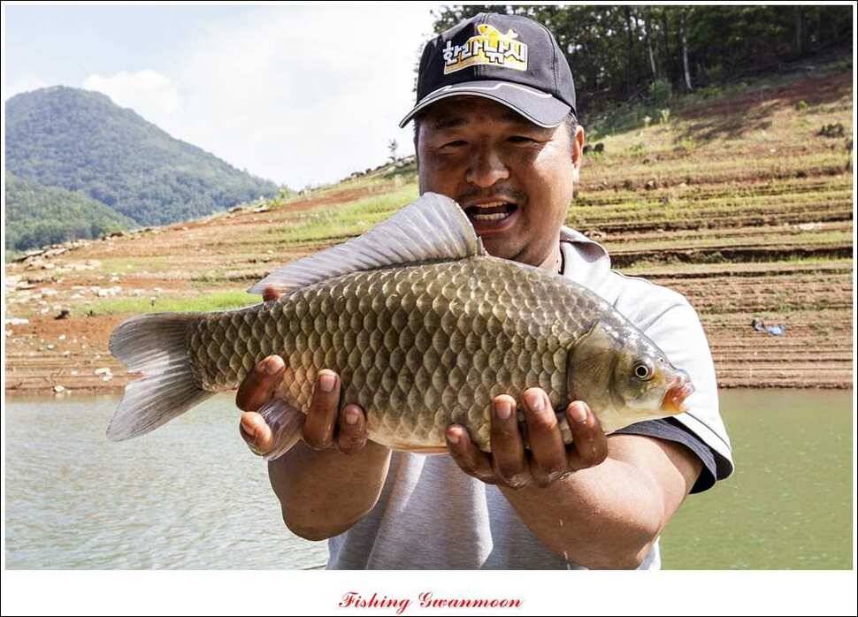 대류 한버들 455 cm늘푸른 장어솔 월척 (조황조행기 - 특파원조황)
