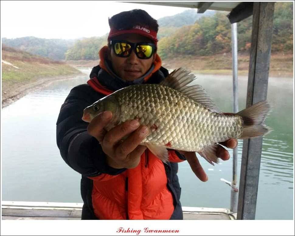 실리곡화곡지제일 조황 (조황조행기 - 특파원조황)