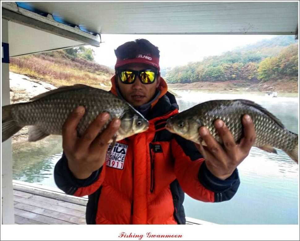 실리곡화곡지제일 조황 (조황조행기 - 특파원조황)